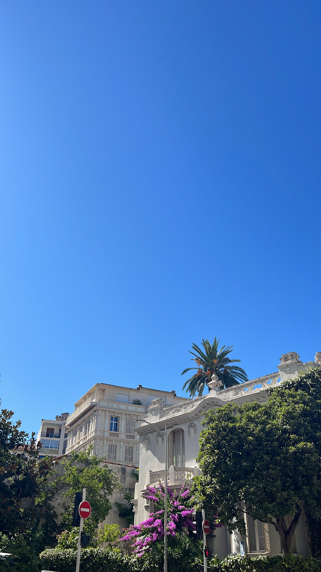 Belle-Époque villa and lone palm under a clear Riviera sky