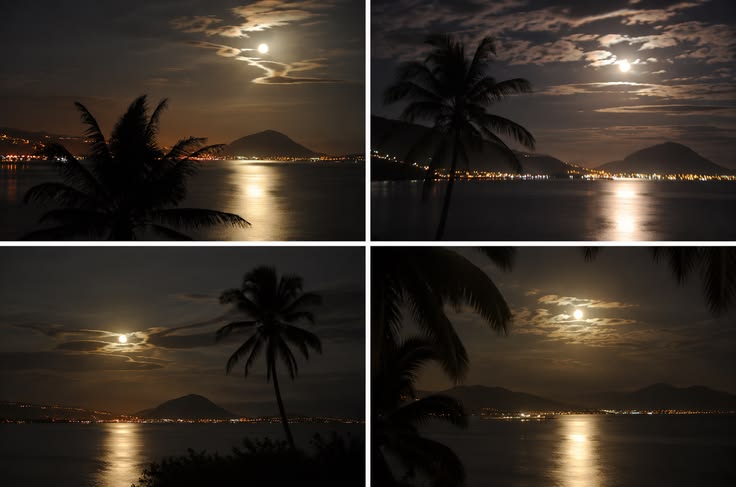 Four frames of moonlit bay with palm silhouettes