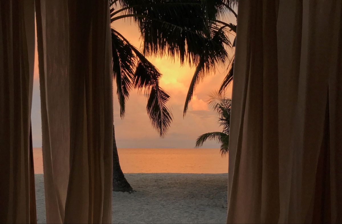 Sunset through linen curtains framing a palm