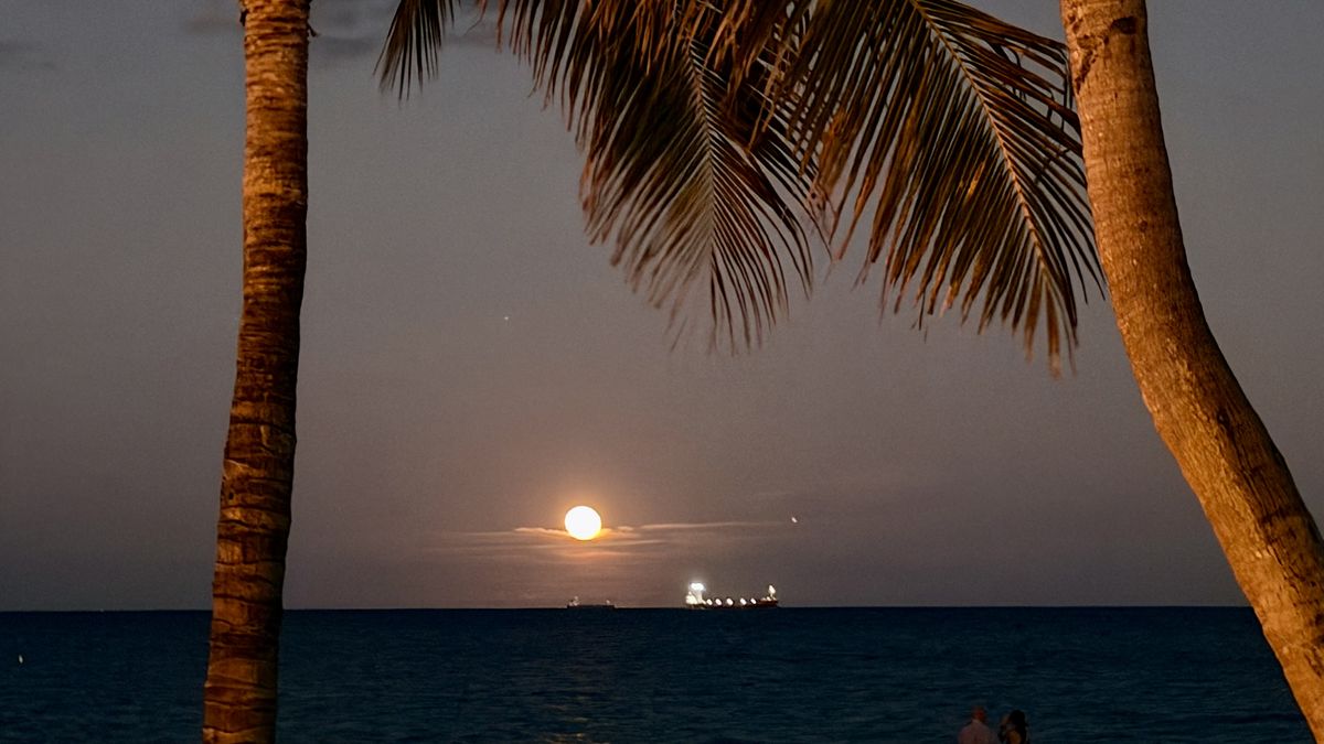Din Tanovic — moonlit seascape, ship on the night ocean Din Tanovic — full moon rising over a calm night sea with a distant ship on the horizon