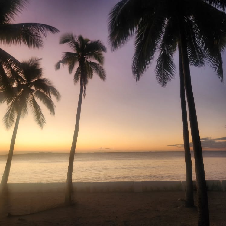 Lavender twilight palms above a still sea